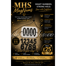 Magnetic competitor numbers (elastic) Magnetic competitor numbers (elastic)